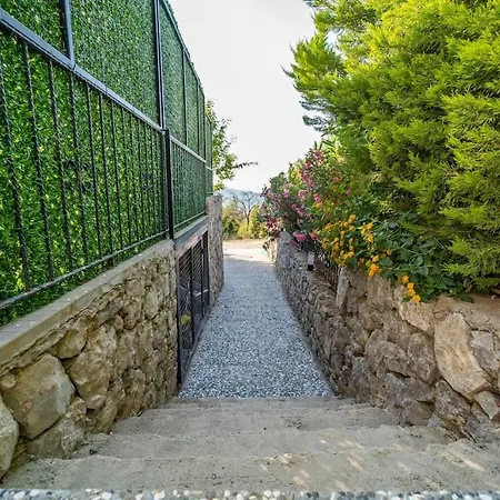 Kamelya Villa *