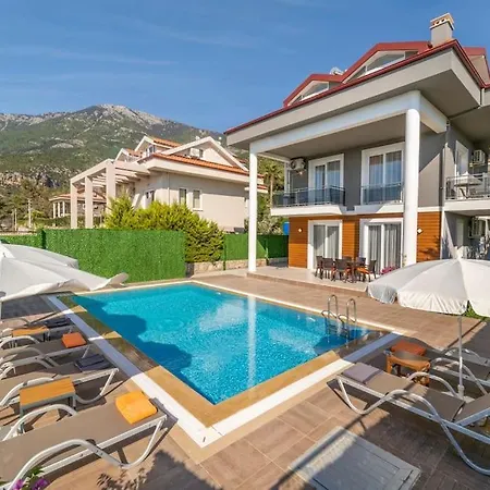 Kamelya * Φετιγιέ
